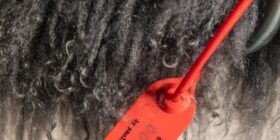 j_JPG-low-resolution-Baxter-NepalBlack-MG-0694-108642_1